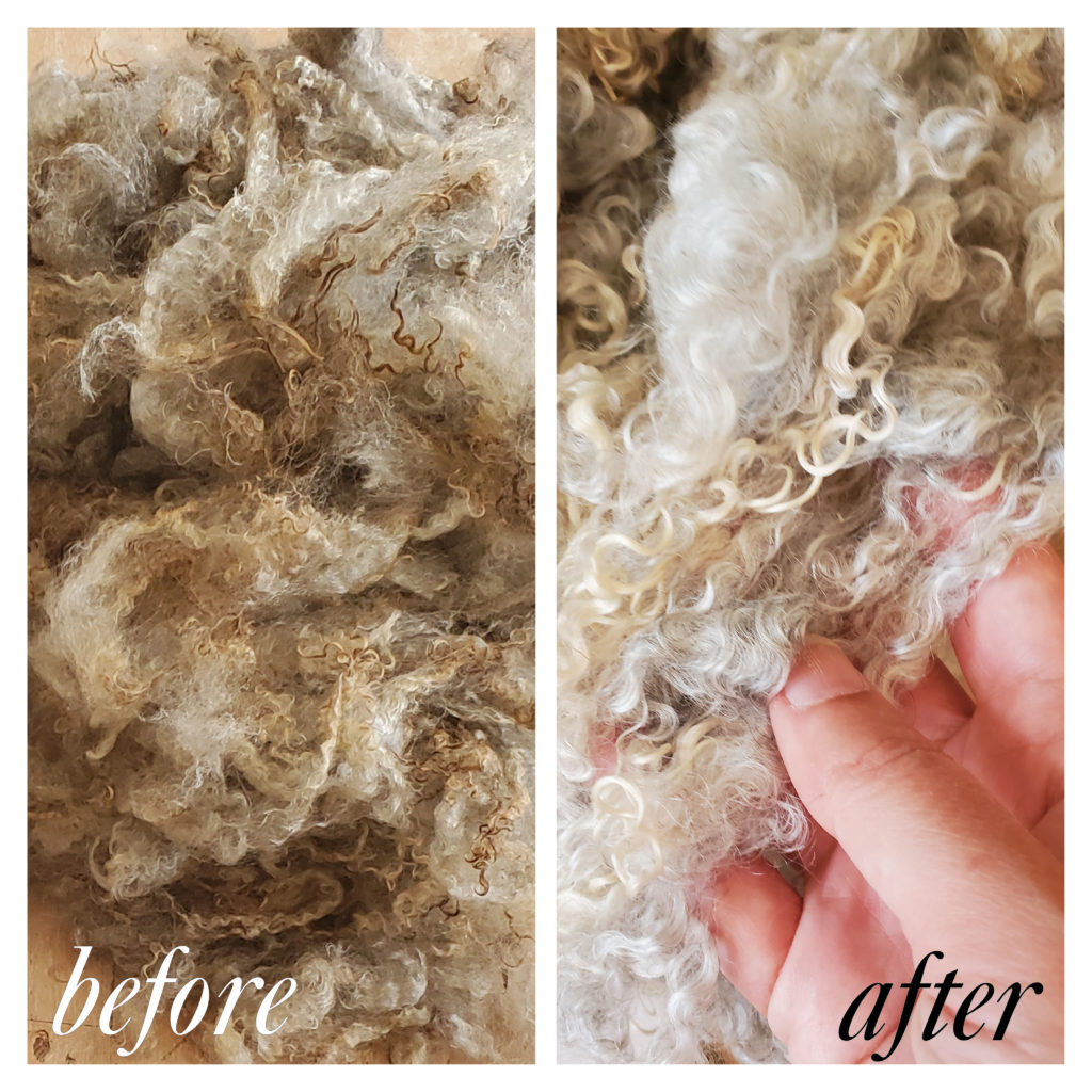 raw fleece nova scotia – leilani handmade