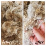 How to scour sheep fleece from raw before and after photo