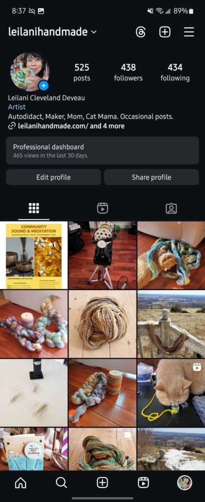 Screenshot of an Instagram profile for user @leilanihandmade. The profile has 525 posts, 438 followers, and 434 following. The bio includes interests like art, autodidact, maker, mom, and occasional posts. The grid shows various creative crafts and a cat.