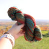 A hand holds a skein of multicolored handspun yarn called Vivid Autumn, against a scenic, expansive landscape backdrop. The yarn features rich, earthy tones of orange, green, and red, mirroring the autumnal colors of trees in the distance under a clear sky.