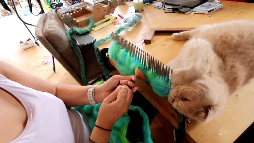 A person uses a wool comb to blend green and blue fibers at a table. A cream-colored cat lies nearby, sniffing the wool, with various crafting tools and supplies scattered in the background.