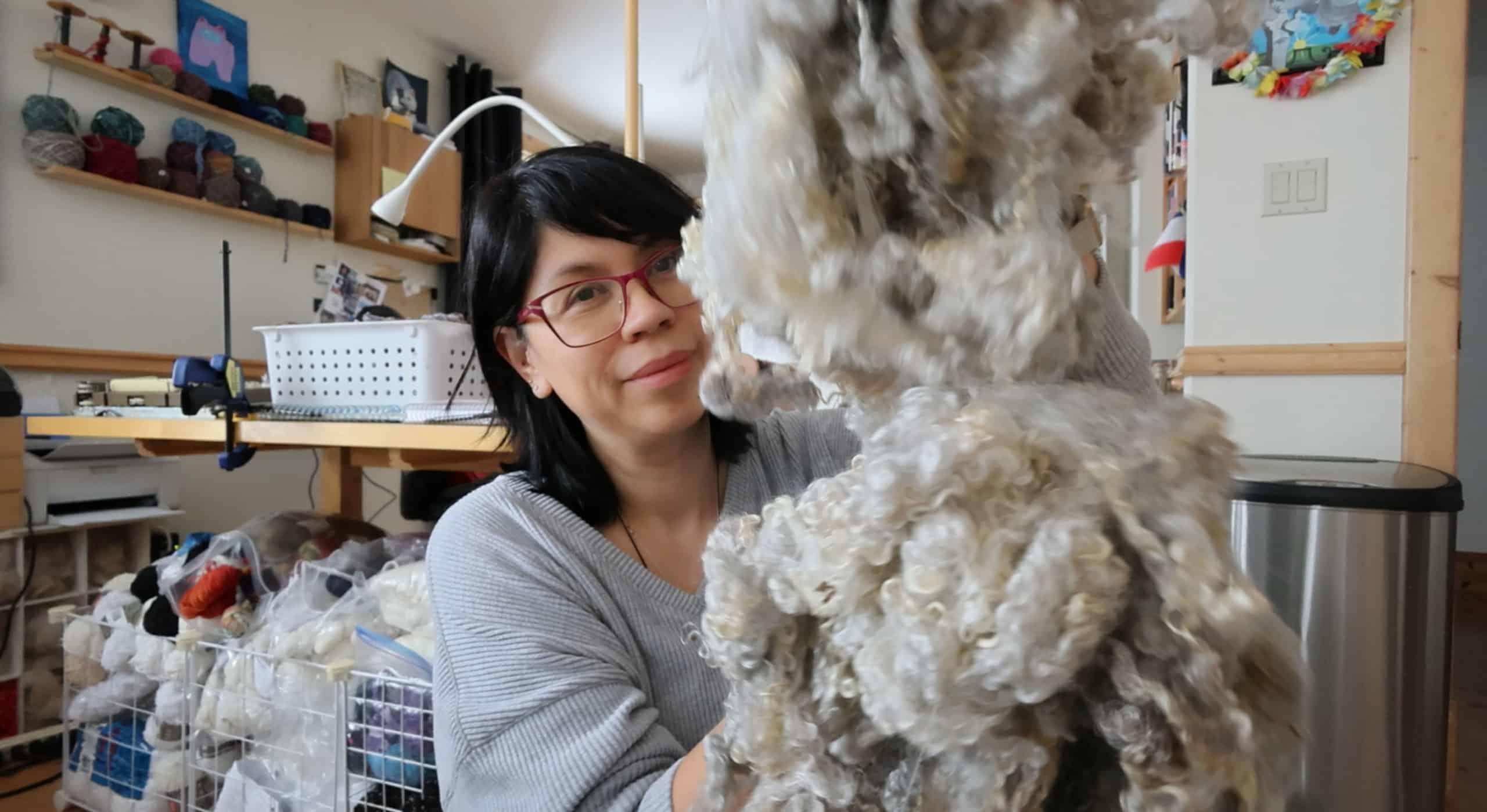 A woman with black hair and glasses holds up a large clump of raw, curly wool. She sits in a cozy room with shelves of yarn, craft supplies, and a desk behind her. The environment suggests she is working on a fiber arts or spinning project.